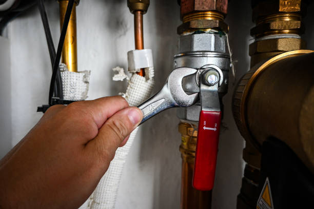 Best Toilet Repair Services  in Elizabethville, PA